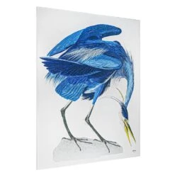 Birds Of A Feather Series I Enhanced Canvas Print