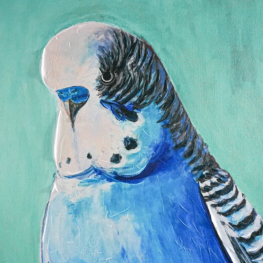 Blue Budgie Enhanced Canvas Print - Image 3